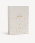 Christmas Gift Box (Reward)